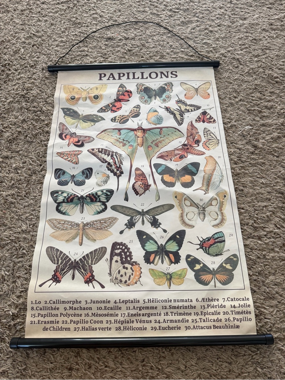 Papillons Vintage-Inspired Butterfly Wall Hanging - Cream Multicolor